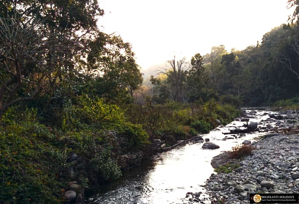 Jim Corbet National Park