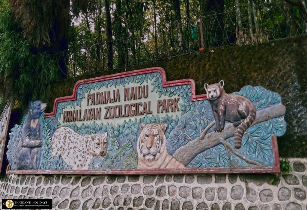 padmaja naidu himalayan zoological park